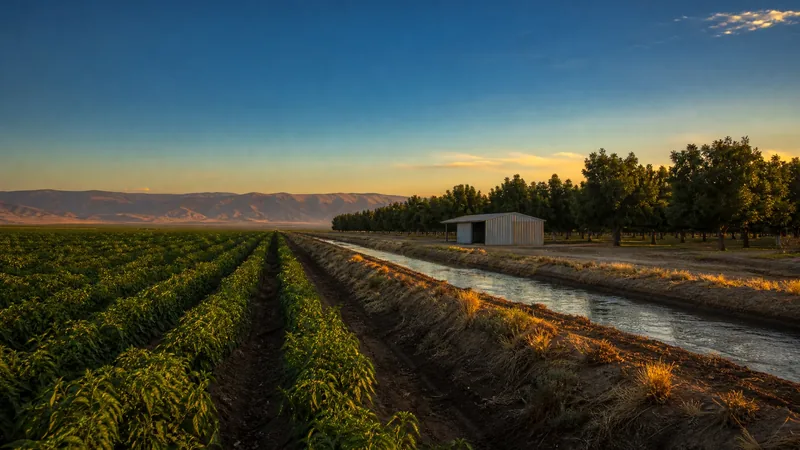Chile rows beside a pecan orchard on irrigated valley farmland, How to Start a Ranch or Dairy in New Mexico